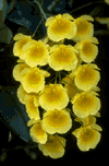 f17.gif (7570 bytes)