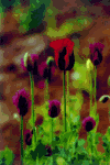 f20.gif (8121 bytes)