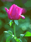 f21.gif (6984 bytes)