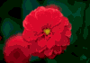 f30.gif (2061 bytes)