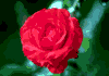f49.gif (2477 bytes)