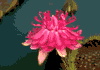 f52.gif (2341 bytes)