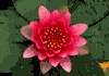 f53.gif (2336 bytes)