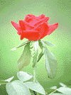 f57.gif (5684 bytes)