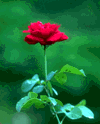 f58.gif (6010 bytes)