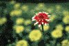 f68.gif (2769 bytes)