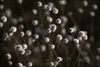 f74.gif (3453 bytes)