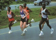 maraton.JPG (15920 bytes)