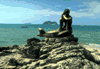 p11.gif (3774 bytes)