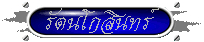 z3z3.gif (3231 bytes)