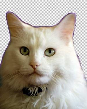 91.jpg