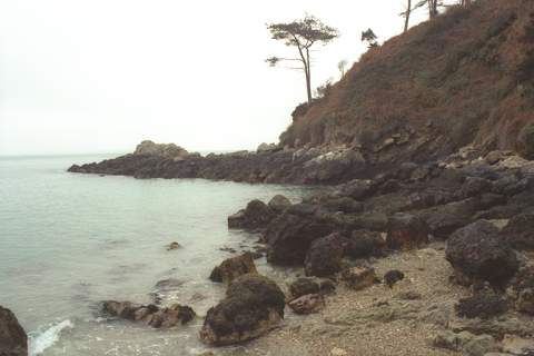 Scape009.bmp
