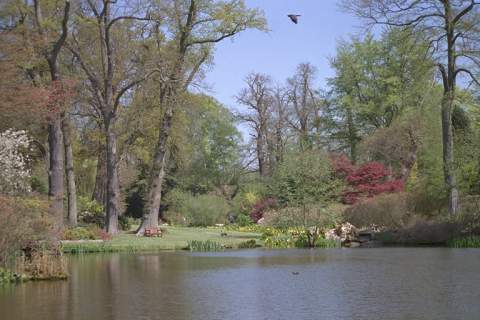 parklake1.bmp