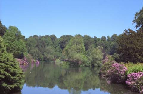 parklake2.bmp