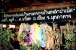 Thai Fabric Vote Within Your Imagination