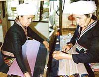 Thai Fabric Vote Within Your Imagination