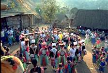 LISU NEW YEAR