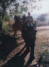 ELEPHANT RIDING CLICK TO ENLARGE