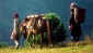 Thailand Guide For Thailand Tour to 3days 2 Nights Trek ChiangMai Thailand Tour  Service with Local Thailand Guide
