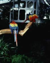 TN_BIRD-040.JPG