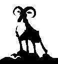 BIGHORN.JPG