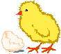 CHICKEGG.JPG