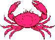 CRAB1.JPG