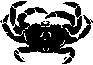 CRAB2.JPG