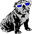 DOGCOOL.JPG