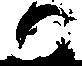 DOLPHIN.JPG