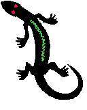 GECKO.JPG