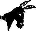 HEADDONK.JPG