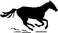 HORSEBLK.JPG