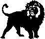 LION2.JPG