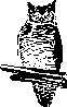 OWL.JPG