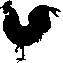ROOSTER.JPG