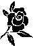 ROSE4.JPG