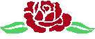 ROSE5.JPG