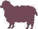 SHEEP1.JPG