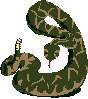 SNAKE1.JPG