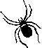 SPIDER1.JPG