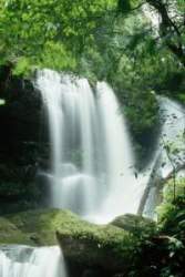 TN_W025.JPG