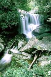 TN_W026.JPG
