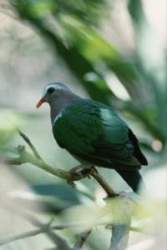 TN_B009.JPG