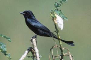TN_B023.JPG
