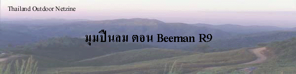 ׹ ͹ Beeman R9