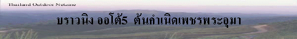 ǹԧ 5  鹡Դྪþ