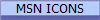 MSN ICONS