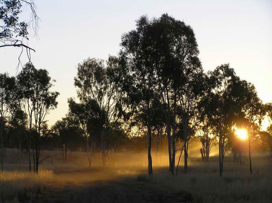 Dust at Piccanny Camp