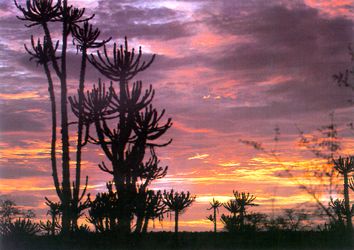 Angola por do sol